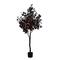 5ft. Pre-Lit Artificial Halloween Black Maple Tree with 240 Orange & Purple LED Lights